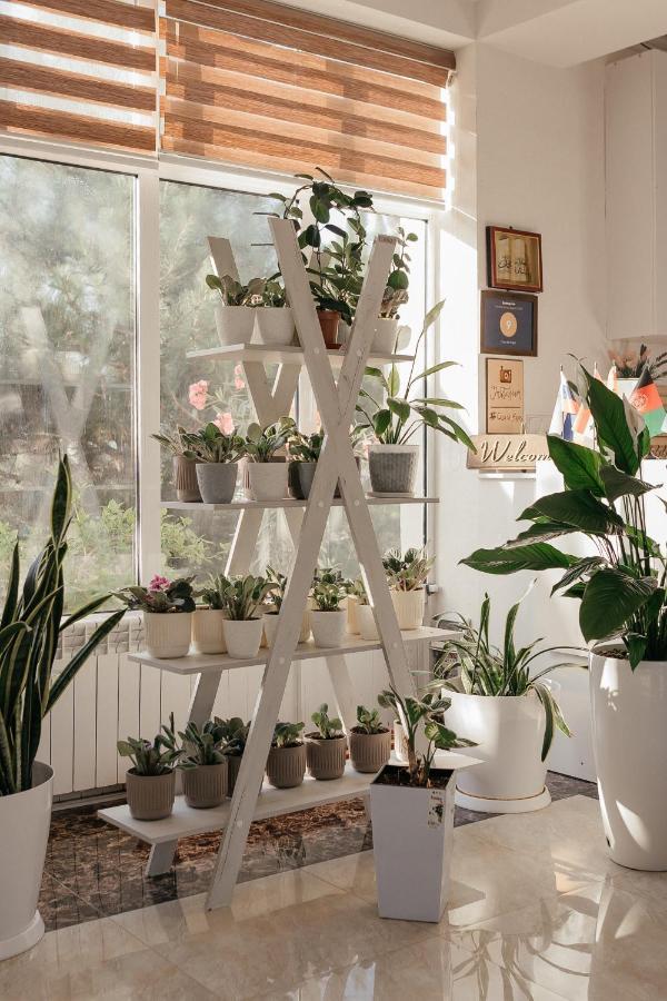 Casa De Higos Panzió Szamarkand Kültér fotó